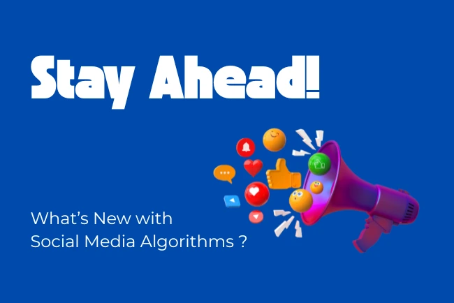 Web Designers in Bikaner